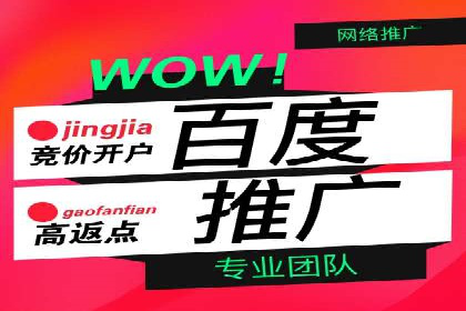 探索百度竞价代运营公司的成功之路